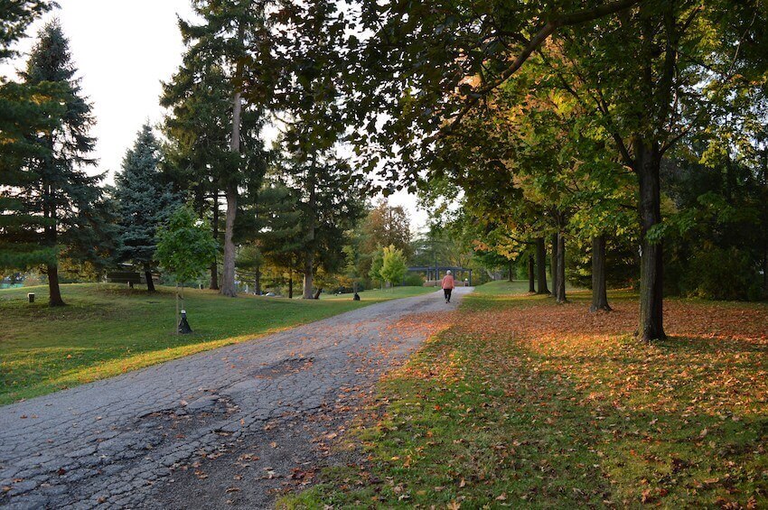 peaceful path through a park in the city