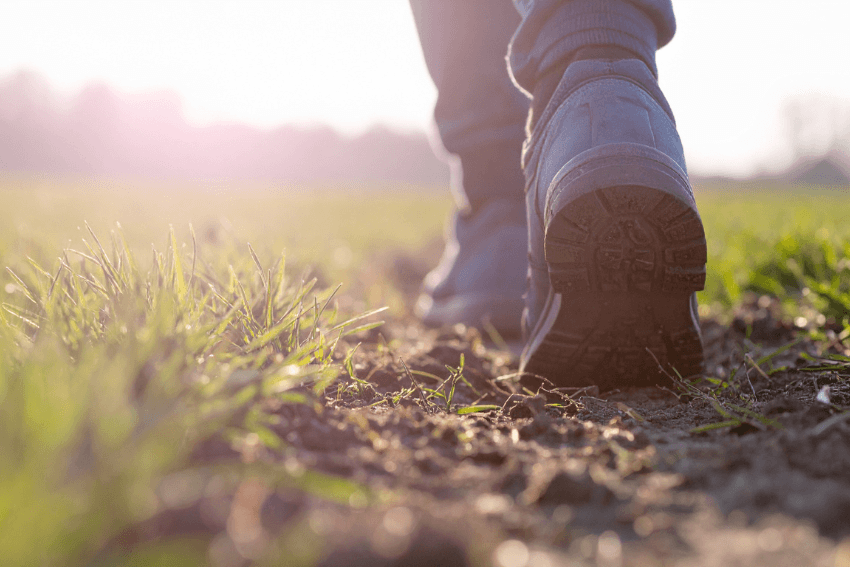 person going for a walk